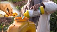 बायकोचं ऐकलं नाही, हात न धुता जेवला अन् मृत्यू झाला; 27 वर्षीय शेतकऱ्याचा अंत