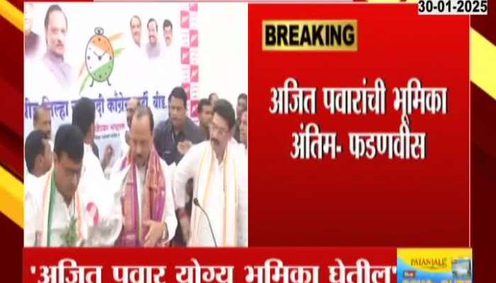 CM Devendra Fadnavis On Ajit Pawar To Take Decision For Dhananjay Munde