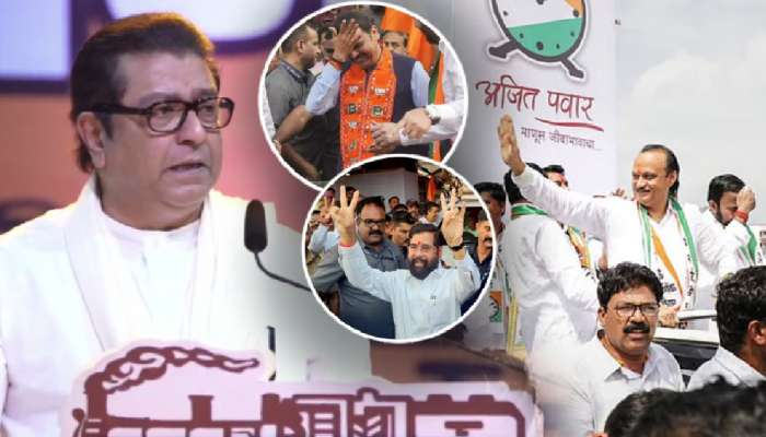 'लोकांनी आपल्याला मतदान केलं, फक्त ते...'; विधानसभा निकालावरुन राज ठाकरेंनी सगळंच काढलं