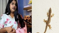 …मग पालीची डिलिव्हरी झाली का?औषधं वेळेवर घे! ‘पालींशी बोलणाऱ्या ताई’चा Video व्हायरल