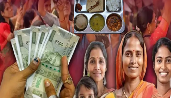 आनंदाचा शिधा, शिवभोजन थाळीबद्दल मोठी अपडेट; लाडकी बहीण योजनेसाठी 'या' योजना...