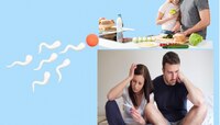 Male Fertility : लग्नानंतर प्रजनन क्षमता कमी वाटतंय?, मग आहारात करा ‘या’ 5 पदार्थ