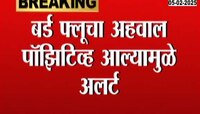 ब्रम्हपुरी तालुक्यातील मांगली गावात बर्ड फ्लूमुळे अलर्ट झोन 
