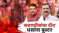 मुख्यमंत्री फडणवीसांचा दौऱ्याने धसांना बुस्टर, धनंजय मुंडेंची दांडी; बीडचे राजकारण क