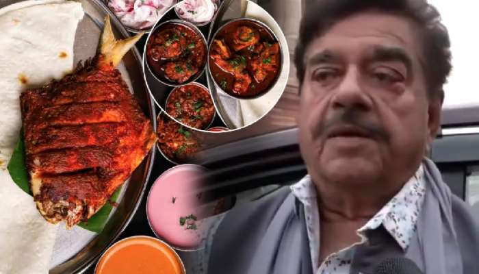 देशभरात सर्व Non Veg पदार्थांवर बंदी घाला; शत्रुघ्न सिन्हांची मागणी! म्हणाले, &#039;सरकारने अनेक..&#039;