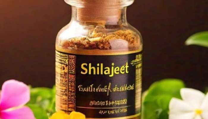 Shilajeet is a boon for men but who should not eat it Health Marathi News