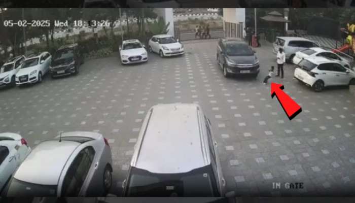 वडील मोबाईल बघताना 5 वर्षांचा मुलगा कारखाली आला; नाशिकमधील घटना CCTV मध्ये कैद