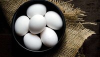 अंडी खाल्ल्याने बर्ड फ्लूचा धोका? बर्ड फ्लूचा धोका आणि अंडी खाण्याच्या सुरक्षिततेबद्