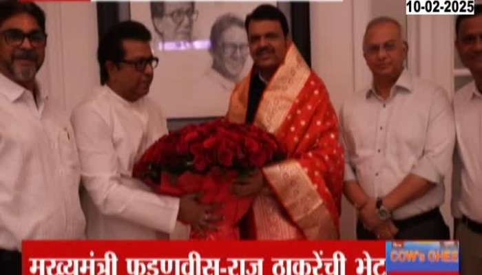 Political Reaction On CM Devendra Fadnavis Meet Raj Thackeray