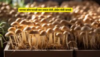 Success Story: फक्त 12 हजाराची गुंतवणूक, वरुन 90 टक्के सब्सिडी; डोकं लावून शेतकरी 'अ