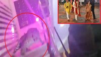 भागोsss; लग्नमंडपात बिबट्या येताच सैरावैरा पळू लागला नवरदेव अन् पाहुणे, Video Viral
