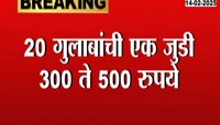 Valentine Day | 20 गुलाबांची जुडी 500 रुपयांना; व्हॅलेंटाईन डेचीच सर्वत्र हवा 
