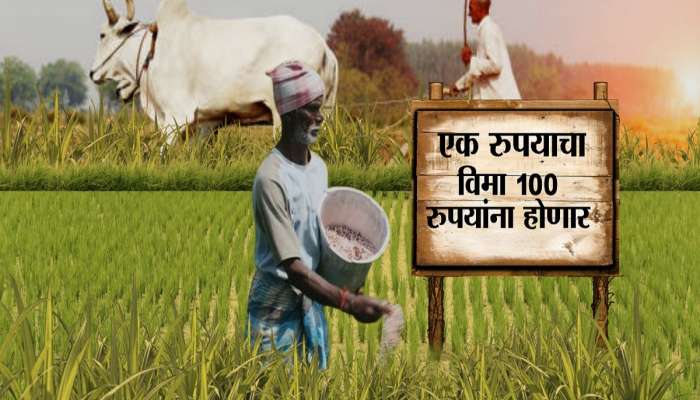 1 रुपयाचा विमा आता 100 रुपयात? लवकरच पीकविम्याची फेररचना होणार?