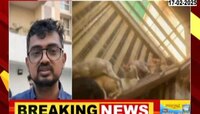 पुण्यातील एका सोसायटीतील फ्लॅटमध्ये 350 मांजरं, सोसायटीतील इतर रहिवाशांना त्रास