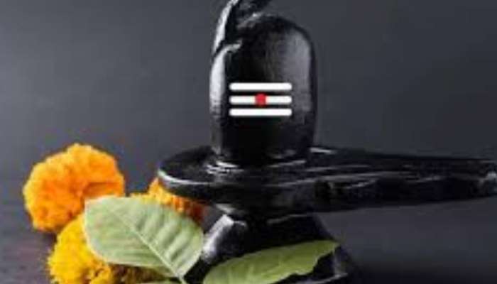 Mahashivratri 2025: बेलपत्र खाण्याचे &#039;हे&#039; फायदे तुम्हाला माहिती आहेत का? महाशिवरात्रीपुर्वी एकदा वाचाच