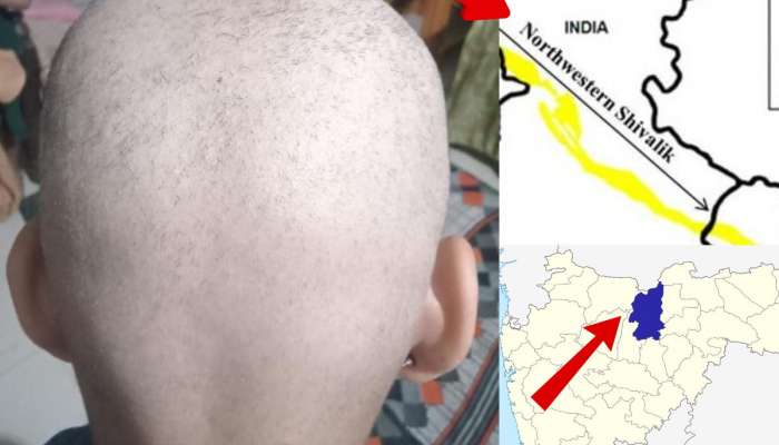 टक्कल पडत असलेल्या महाराष्ट्रातील 'त्या'  गावांचे मूळ थेट पंजाब, हरियाणात? कसं शक्य आहे ते जाणून घ्या!