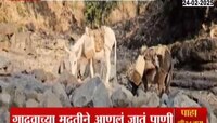 Maharashtra News | सातपुड्याच्या दुर्गम भागात तीव्र जलसंकट, खोल दरीतून आणावं लागतं पाणी 
