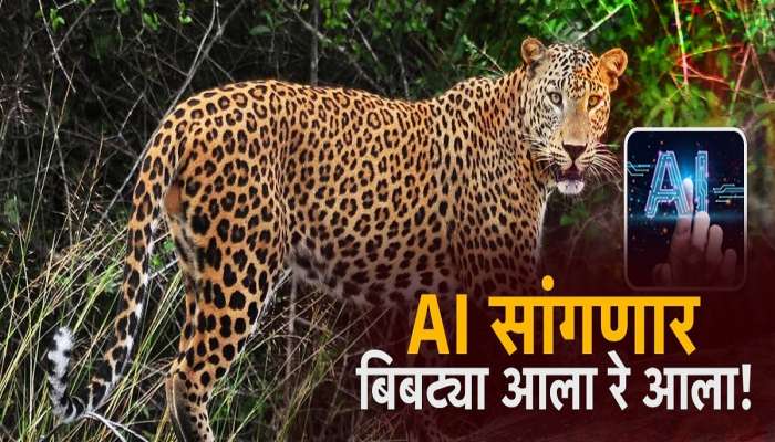 AI सांगणार बिबट्या आला रे! गावात येणा-या बिबट्याची चाहूल आधीच लागणार