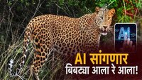 AI सांगणार बिबट्या आला रे! गावात येणा-या बिबट्याची चाहूल आधीच लागणार