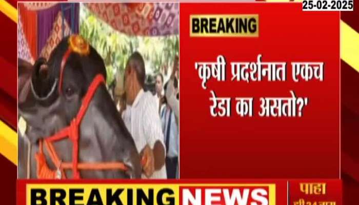 Chandrakant Patil On Heavy Weight Bufalo In Exhibition