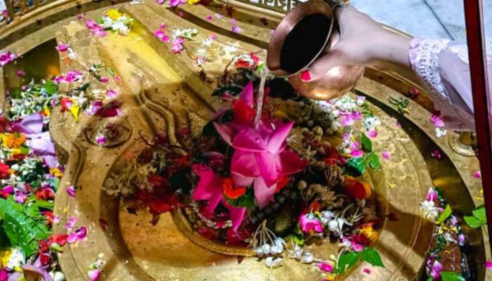 Mahashivratri 2025 : शिवलिंगाला अर्पण केलेला प्रसाद खावा की नाही? शिवपुराणात काय सांगितलंय? 