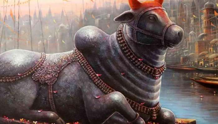 Mahashivratri 2025 : नंदीचा उजवा पाय थोडा उचललेला का असतो? 
