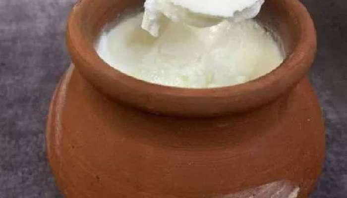 दही लवकर आंबट होते? मग या टिप्स वापरा, साखरेची गरज भासणार नाही