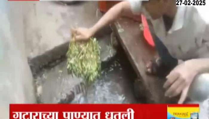 Ulhasnagar Green Leafy Vegetable Washed In Dirty Drainage Water