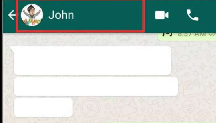WhatsApp वर ऑनलाईन आहात कुणालाच कळणार नाही, फक्त करा ही एक सेटिंग!