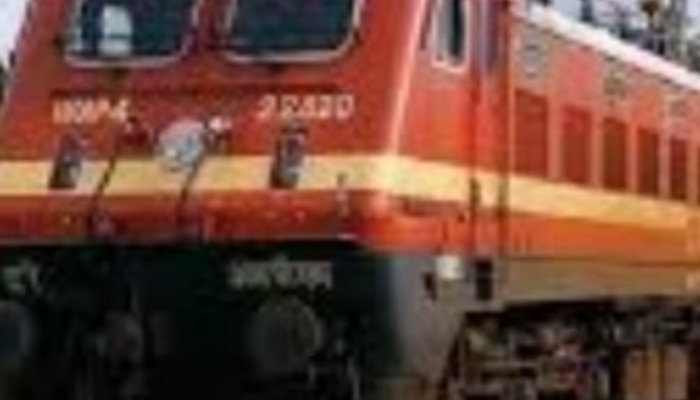 &#039;हे&#039; फळ ट्रेनमध्ये नेण्यास मनाई! घेऊन गेलात तर पडाल संकटात 