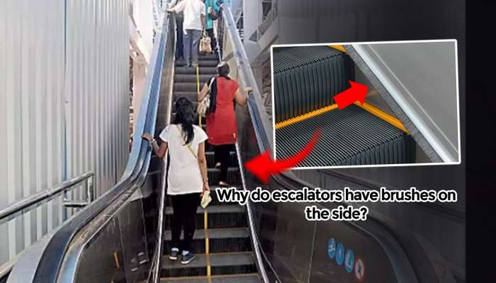 Escalators च्या दोन्ही बाजूला ब्रश का लावलेले असतात माहितेय का? चप्पल साफ करण्यासाठी नाही तर...