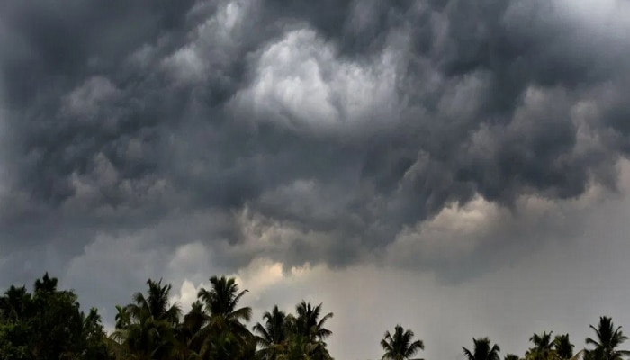 महाराष्ट्रात उन्हाळी पावसाळा? ढगाळ वातावरणामुळं हवामानाचा नेम लागेना, उत्तरेकडे शीतलहरींचा मारा 