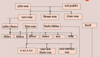 Elon Musk ची वंशावळ; सर्व 14 मुलांची नावं तुम्हाला माहिती आहेत का?