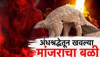 'खवल्या मांजर आणि पायाळू मुलगी' गुप्तधनाच्या शोधासाठी 6 जणांनी...; हादरवणारा प्रकार!