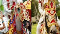 Interesting Fact : लग्नात वर घोड्याऐवजी घोडीवर का बसतो? कारण जाणून तुम्ही व्हाल आश्च