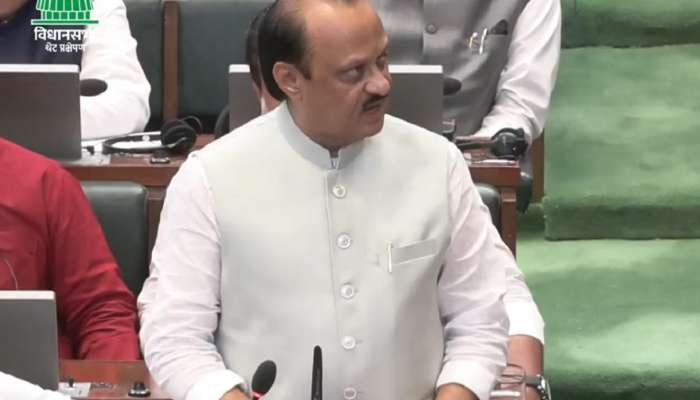 Maharashtra Budget 2025: राज्यात वर्षात 237.5  किलोमीटर लांबीचे मेट्रो मार्ग उभारणार; अजित पवारांची मोठी घोषणा