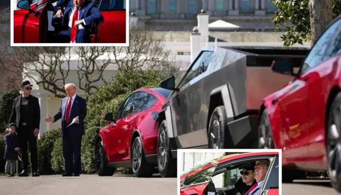 'तुम्हाला जी हवी ती निवडा,' डोनाल्ड ट्रम्प यांच्यासाठी 5 टेस्ला कार घेऊन पोहोचले एलॉन मस्क, अखेर राष्ट्राध्यक्षांनी...