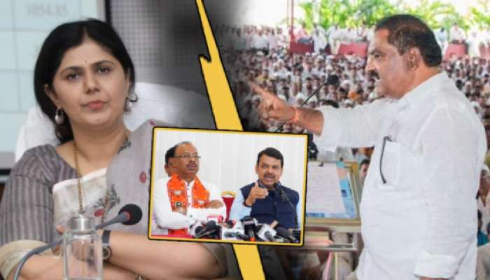 भावापाठोपाठ पंकजाही अडचणीत येणार? सुरेश धस म्हणाले, 'धनंजय मुंडेंचं पद गेल्यानंतर...'