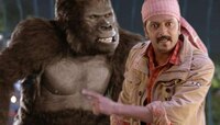 बॉलिवूडचे 6 कॉमेडी चित्रपट, प्रत्येक सीन बघताच हसू आवरणार नाही, IMDb रेटिंगही जबरदस्