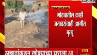 अज्ञातांकडून खोक्याच्या घराला आग, जनावारांचा चाराही पेटला