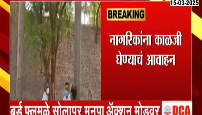 Solapur Manpa In Action Three Palces Closed For 21 DAys For Rising Bird Flu