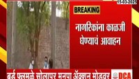 बर्ड फ्लूमुळे सोलापूर मनपा अ‍ॅक्शन मोडवर; शहरातील 3 ठिकाणं 21 दिवसांसाठी बंद 