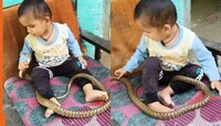 रील बनवण्यासाठी लहान मुलावर साप सोडला अन्... Viral Video बघून बसेल धक्का