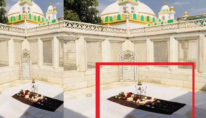 Aurangzeb: औरंगजेबाच्या कबरीवर तुळशीचं रोप का लावलं जातं? कारण जाणून थक्क व्हाल