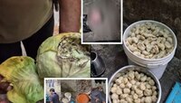 चिकन मोमोज बनवणाऱ्या फॅक्टरीवर धाड, फ्रीज उघडल्यानंतर अधिकारी चक्रावला, आत चक्क कुत्