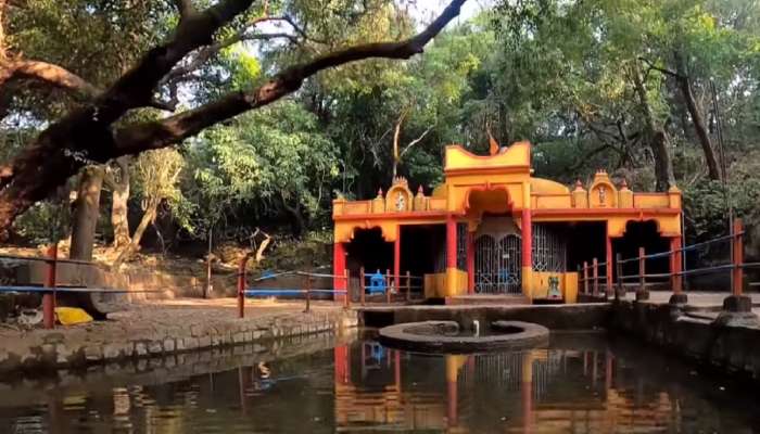 महाराष्ट्रातील सर्वात रहस्यमयी नदी! कोकणातील ही नदी सात गुहांमधून पृथ्वीच्या भेटीला येते महाराष्ट्रातील सर्वात रहस्यमयी नदी! कोकणातील ही नदी सात गुहांमधून पृथ्वीच्या भेटीला येते