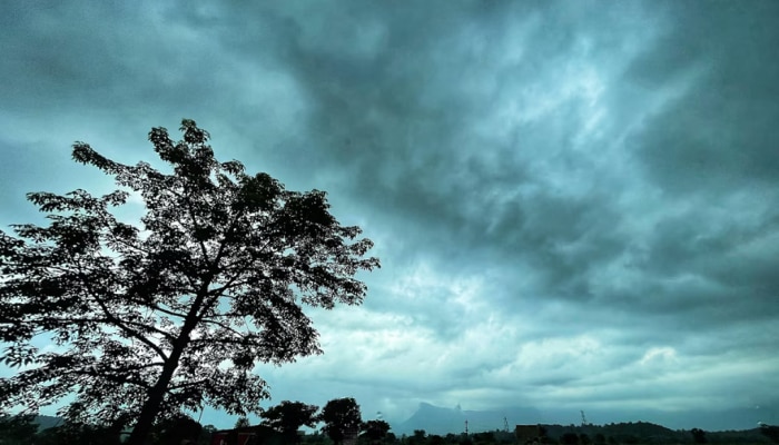 गंभीर इशारा! विदर्भात वादळी पावसाचा यलो अलर्ट जारी; वाऱ्यांचा वेग वाढणार, ढगांचा गडगडाट होणार...