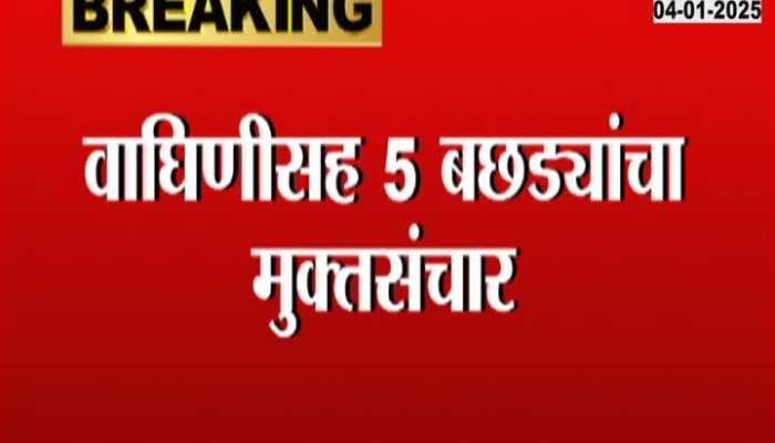Accused brought to court in Nagpur violence, will seek extended police custody of accused