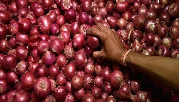 महाराष्ट्रातील शेतकऱ्यांसाठी सर्वात मोठी ब्रेकिंग न्यूज;  कांद्यावरील 20 टक्के निर्यात शुल्क हटवण्याचा केंद्र सरकार निर्णय