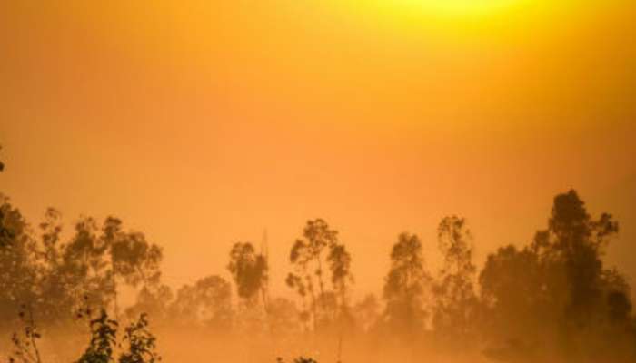 राज्यात उन्हाची काहिली वाढणार, तर 'या' जिल्ह्यांना अवकाळी पावसाचा धोका, कसे असेल आजचे हवामान?